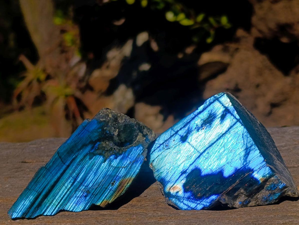 Polished One Side Labradorite Slices x 24 From Madagascar - Toprock Gemstones and Minerals 