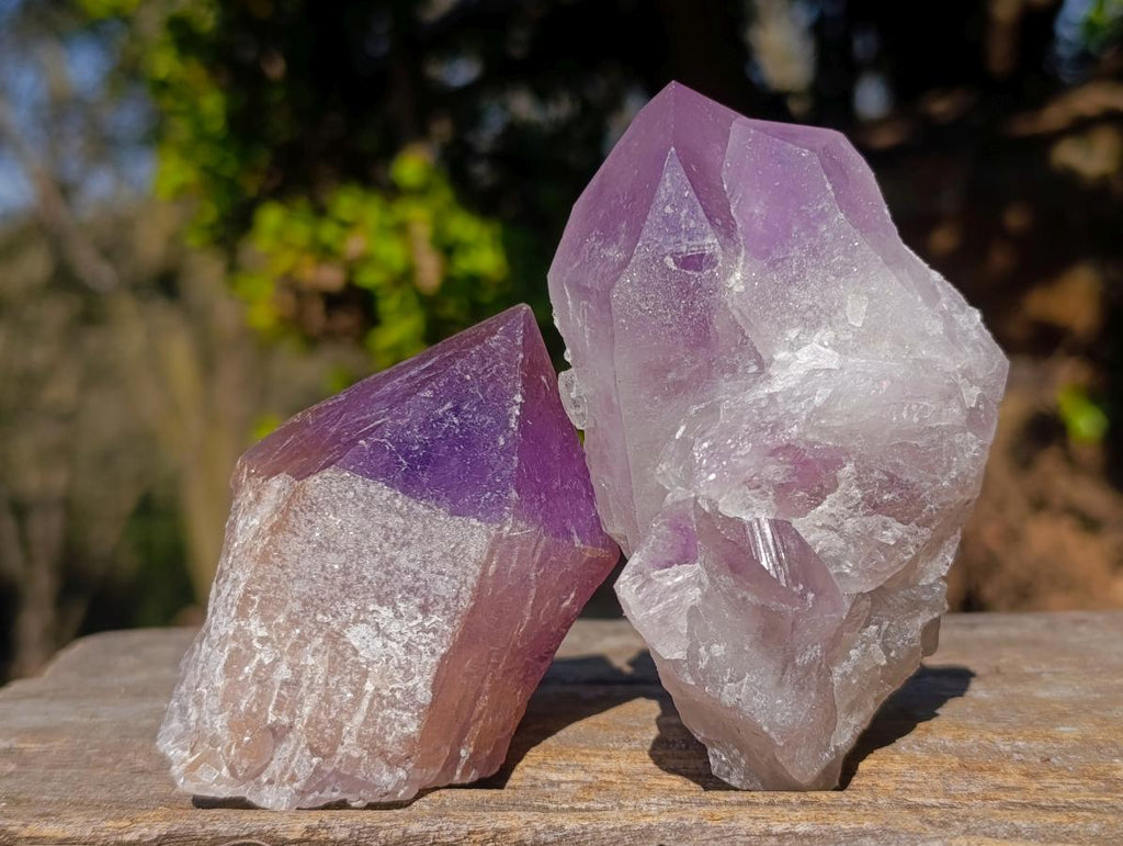 Natural Jacaranda Amethyst Single Crystals x 12 From Mumbwa, Zambia - Toprock Gemstones and Minerals 