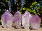 Natural Jacaranda Amethyst Single Crystals x 12 From Mumbwa, Zambia - Toprock Gemstones and Minerals 