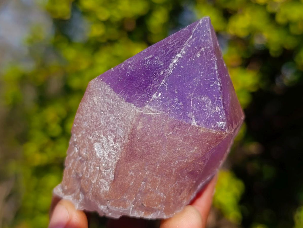 Natural Jacaranda Amethyst Single Crystals x 12 From Mumbwa, Zambia - Toprock Gemstones and Minerals 