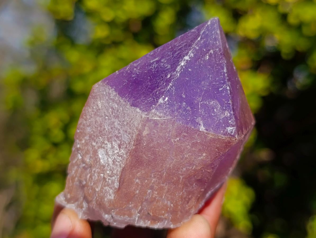 Natural Jacaranda Amethyst Single Crystals x 12 From Mumbwa, Zambia - Toprock Gemstones and Minerals 