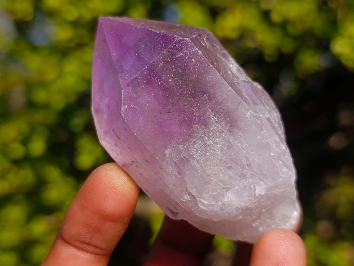 Natural Jacaranda Amethyst Single Crystals x 12 From Mumbwa, Zambia - Toprock Gemstones and Minerals 