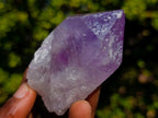 Natural Jacaranda Amethyst Single Crystals x 12 From Mumbwa, Zambia - Toprock Gemstones and Minerals 