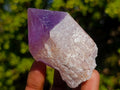 Natural Jacaranda Amethyst Single Crystals x 12 From Mumbwa, Zambia - Toprock Gemstones and Minerals 