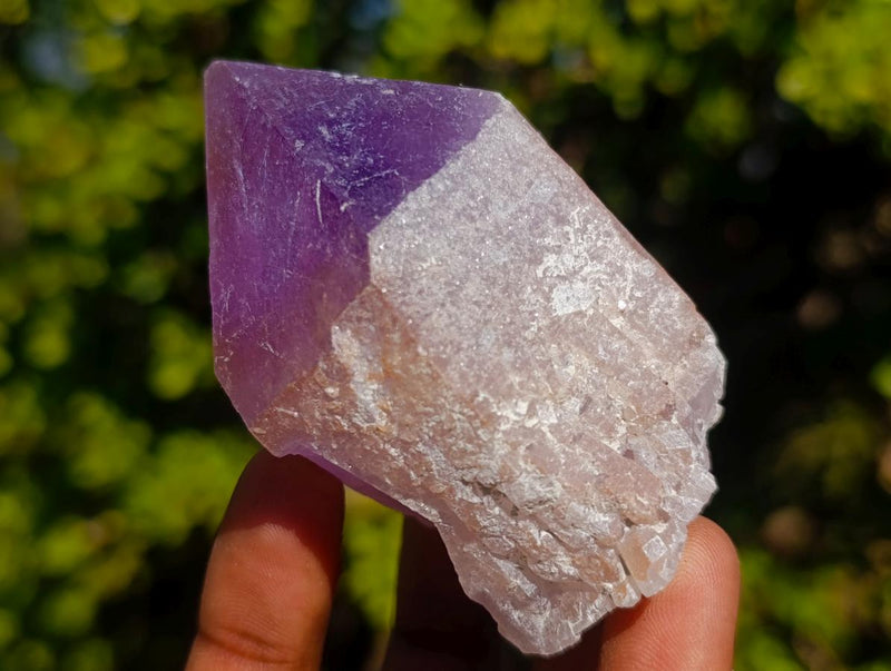 Natural Jacaranda Amethyst Single Crystals x 12 From Mumbwa, Zambia - Toprock Gemstones and Minerals 