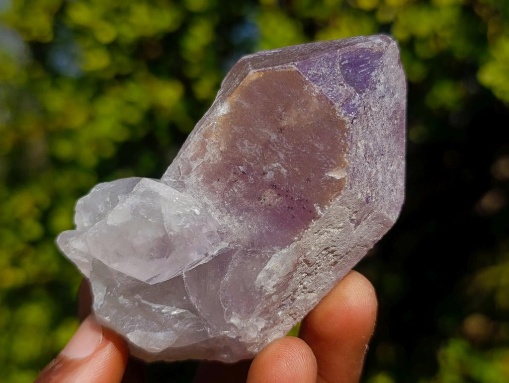 Natural Jacaranda Amethyst Single Crystals x 12 From Mumbwa, Zambia - Toprock Gemstones and Minerals 