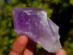 Natural Jacaranda Amethyst Single Crystals x 12 From Mumbwa, Zambia - Toprock Gemstones and Minerals 