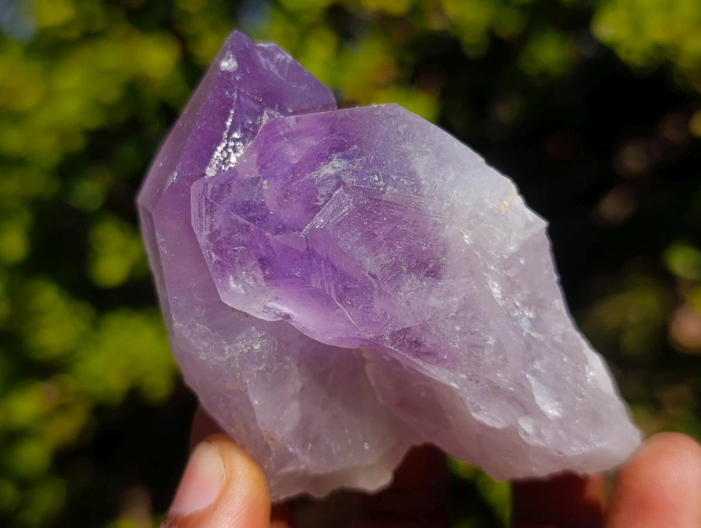 Natural Jacaranda Amethyst Single Crystals x 12 From Mumbwa, Zambia - Toprock Gemstones and Minerals 