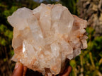Natural Malagasy Quartz Clusters x 4 From Madagascar - Toprock Gemstones and Minerals 