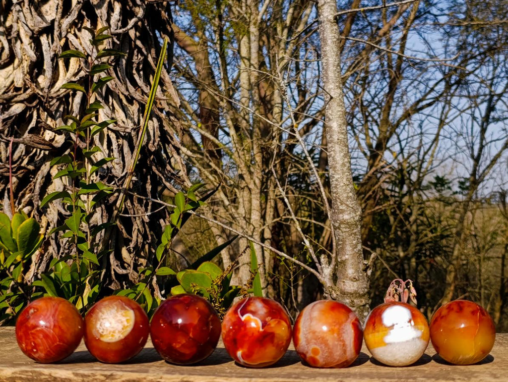 Polished and Natural Carnelian Agate Gemstone Spheres x 7 From Madagascar - Toprock Gemstones and Minerals 