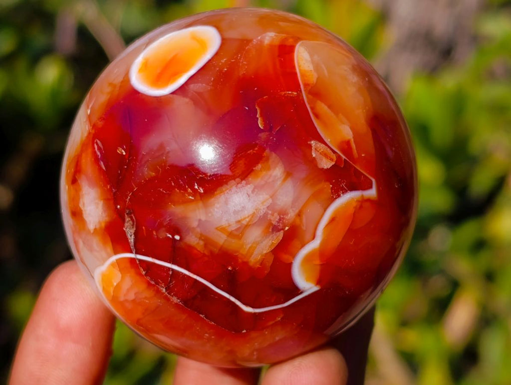 Polished and Natural Carnelian Agate Gemstone Spheres x 7 From Madagascar - Toprock Gemstones and Minerals 