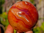 Polished and Natural Carnelian Agate Gemstone Spheres x 7 From Madagascar - Toprock Gemstones and Minerals 