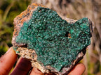Natural Botryoidal Crystalline Malachite Specimens x 6 From Tenke Fungurume, Congo - Toprock Gemstones and Minerals 