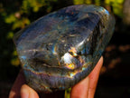 Polished Spectrolite Labradorite Standing Display Pieces x 6 From Madagascar - Toprock Gemstones and Minerals 