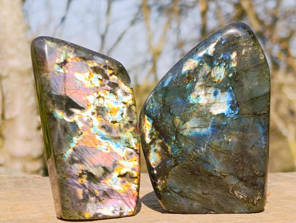 Polished Spectrolite Labradorite Standing Display Pieces x 6 From Madagascar - Toprock Gemstones and Minerals 