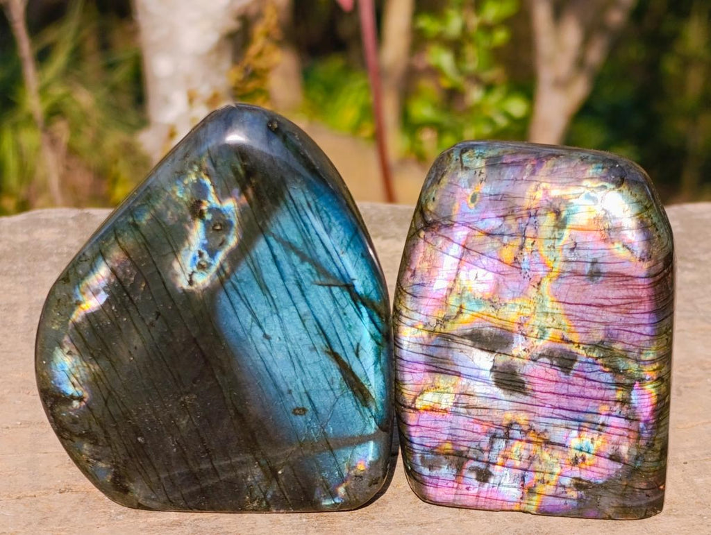 Polished Spectrolite Labradorite Standing Display Pieces x 6 From Madagascar - Toprock Gemstones and Minerals 