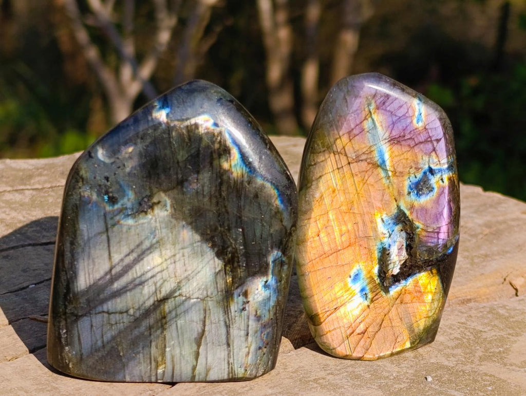 Polished Spectrolite Labradorite Standing Display Pieces x 6 From Madagascar - Toprock Gemstones and Minerals 