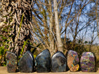 Polished Spectrolite Labradorite Standing Display Pieces x 6 From Madagascar - Toprock Gemstones and Minerals 