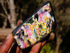 Polished Spectrolite Labradorite Standing Display Pieces x 6 From Madagascar - Toprock Gemstones and Minerals 