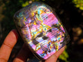 Polished Spectrolite Labradorite Standing Display Pieces x 6 From Madagascar - Toprock Gemstones and Minerals 