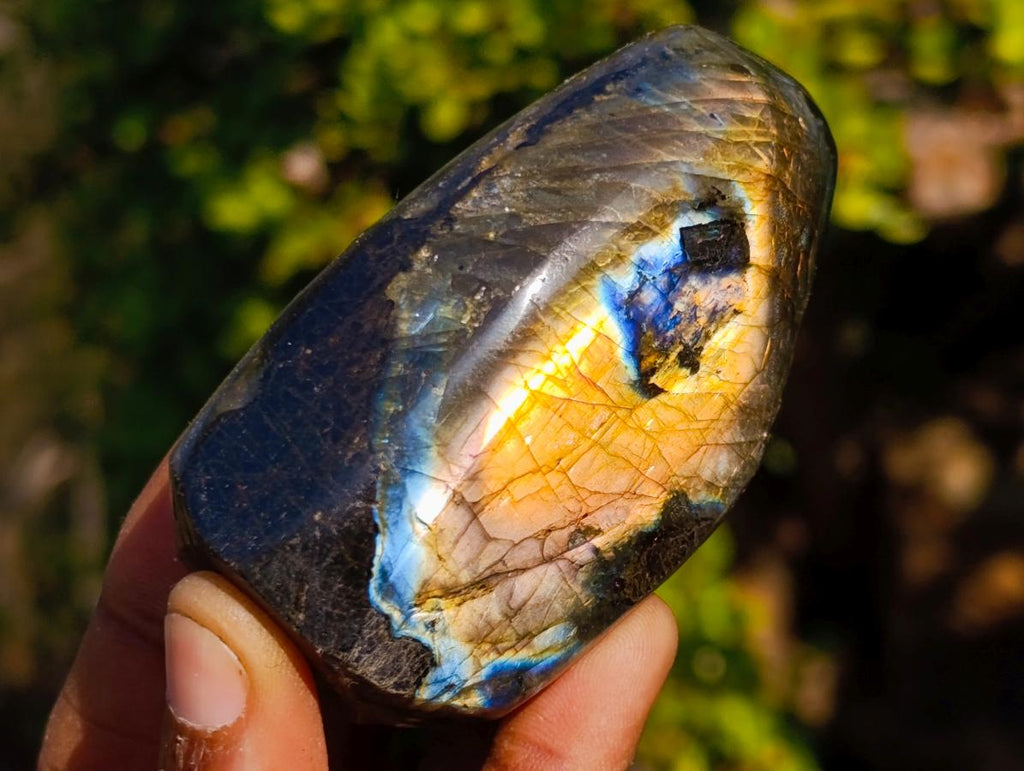 Polished Spectrolite Labradorite Standing Display Pieces x 6 From Madagascar - Toprock Gemstones and Minerals 