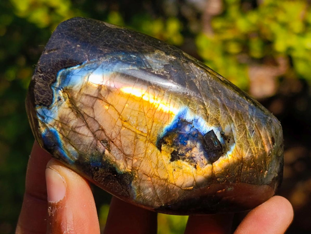 Polished Spectrolite Labradorite Standing Display Pieces x 6 From Madagascar - Toprock Gemstones and Minerals 