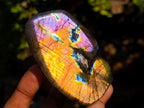 Polished Spectrolite Labradorite Standing Display Pieces x 6 From Madagascar - Toprock Gemstones and Minerals 