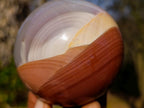 Polished Polychrome Jasper Mushrooms x 3 From Androka, Madagascar - Toprock Gemstones and Minerals 