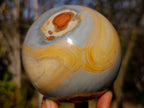 Polished Polychrome Jasper Mushrooms x 3 From Androka, Madagascar - Toprock Gemstones and Minerals 