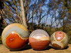 Polished Polychrome Jasper Mushrooms x 3 From Androka, Madagascar - Toprock Gemstones and Minerals 