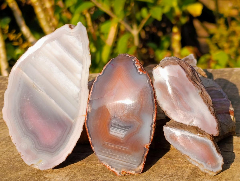 Polished One Side Red Shashe River Agate Nodules x 12 From Shashe River, Zimbabwe - Toprock Gemstones and Minerals 