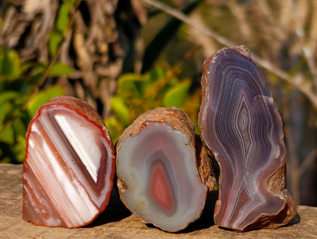 Polished One Side Red Shashe River Agate Nodules x 12 From Shashe River, Zimbabwe - Toprock Gemstones and Minerals 