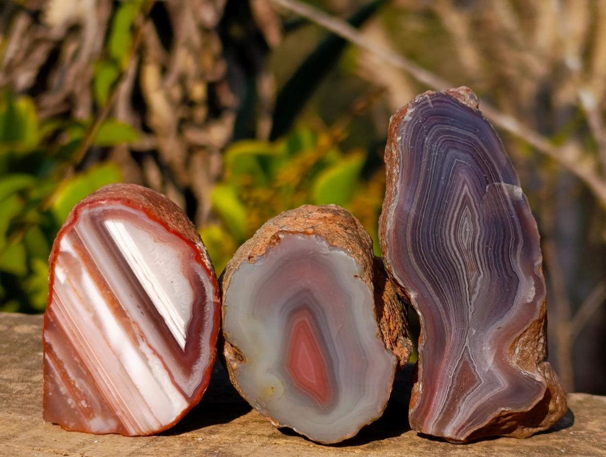 Polished One Side Red Shashe River Agate Nodules x 12 From Shashe River, Zimbabwe - Toprock Gemstones and Minerals 