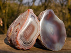 Polished One Side Red Shashe River Agate Nodules x 12 From Shashe River, Zimbabwe - Toprock Gemstones and Minerals 