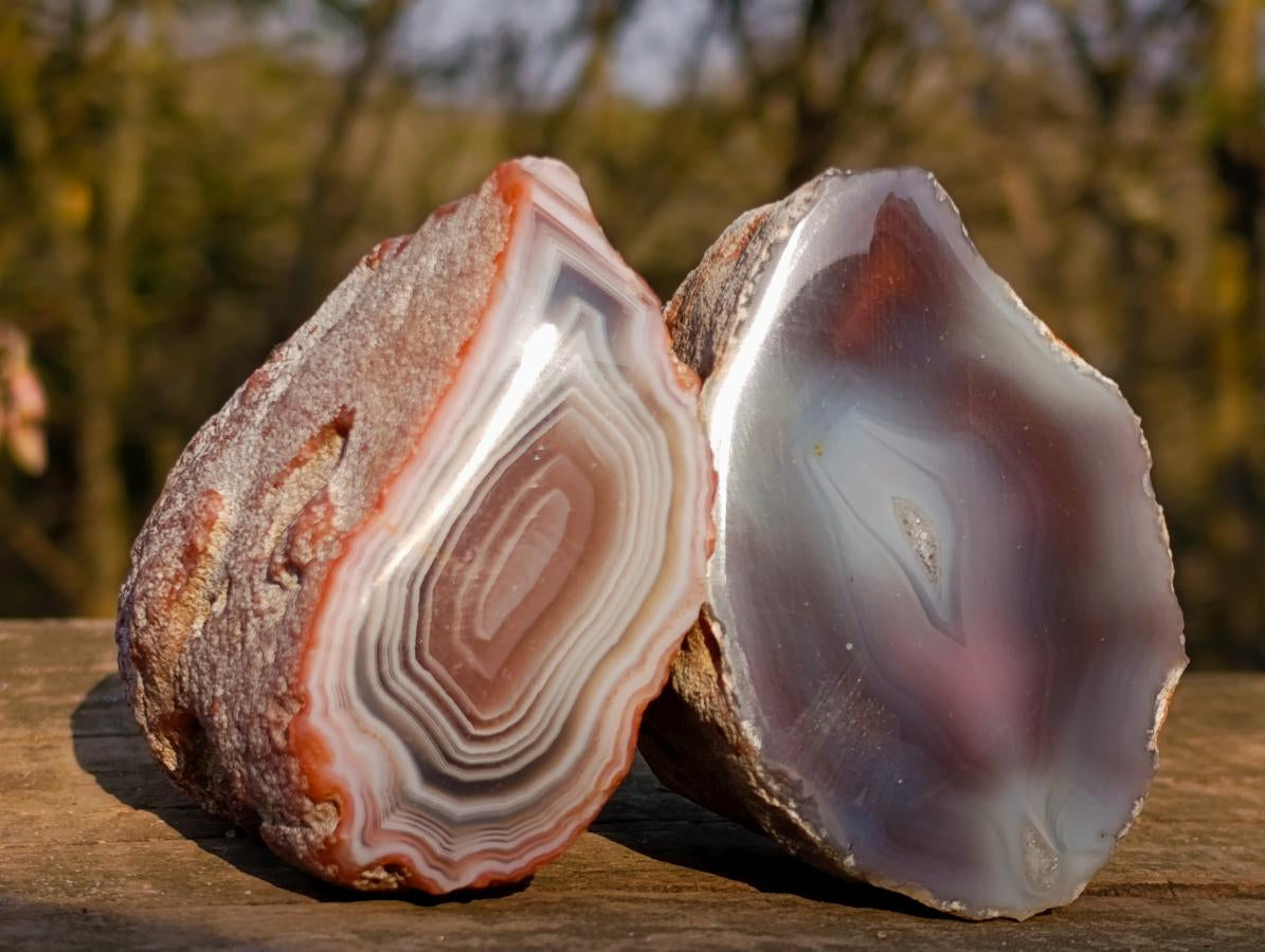 Polished One Side Red Shashe River Agate Nodules x 12 From Shashe River, Zimbabwe - Toprock Gemstones and Minerals 