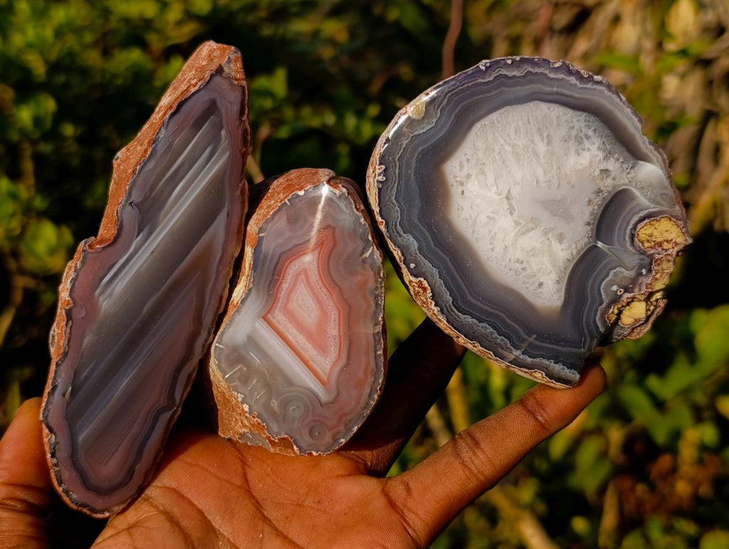 Polished One Side Red Shashe River Agate Nodules x 12 From Shashe River, Zimbabwe - Toprock Gemstones and Minerals 