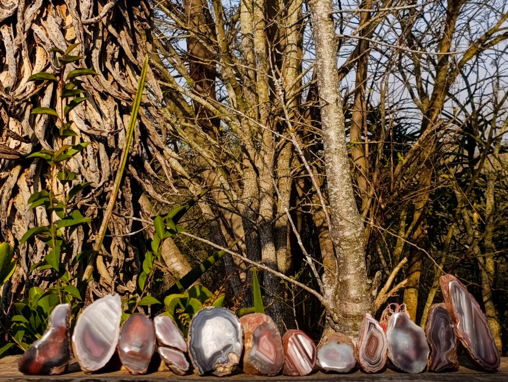 Polished One Side Red Shashe River Agate Nodules x 12 From Shashe River, Zimbabwe - Toprock Gemstones and Minerals 