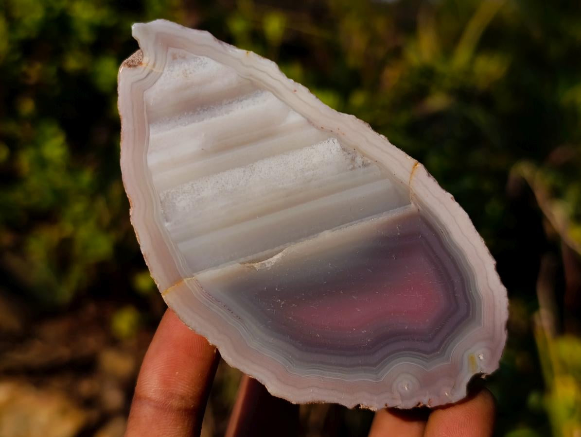 Polished One Side Red Shashe River Agate Nodules x 12 From Shashe River, Zimbabwe - Toprock Gemstones and Minerals 