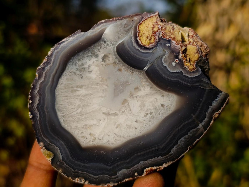 Polished One Side Red Shashe River Agate Nodules x 12 From Shashe River, Zimbabwe - Toprock Gemstones and Minerals 