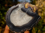 Polished One Side Red Shashe River Agate Nodules x 12 From Shashe River, Zimbabwe - Toprock Gemstones and Minerals 