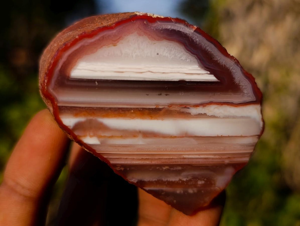 Polished One Side Red Shashe River Agate Nodules x 12 From Shashe River, Zimbabwe - Toprock Gemstones and Minerals 