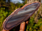 Polished One Side Red Shashe River Agate Nodules x 12 From Shashe River, Zimbabwe - Toprock Gemstones and Minerals 