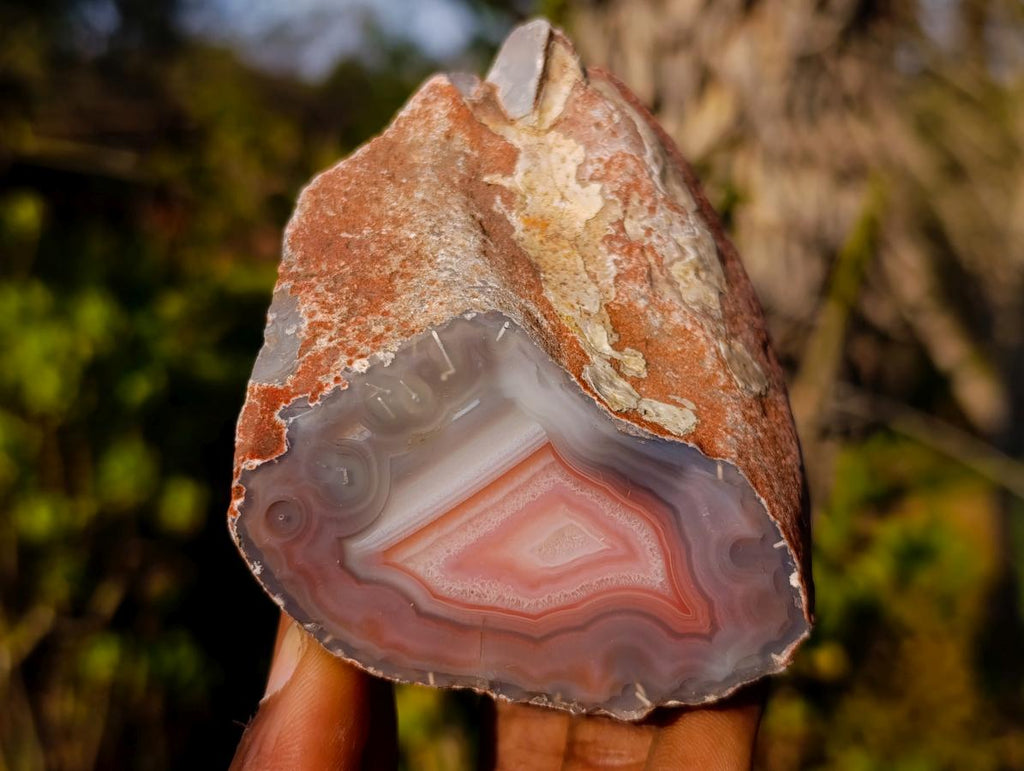 Polished One Side Red Shashe River Agate Nodules x 12 From Shashe River, Zimbabwe - Toprock Gemstones and Minerals 