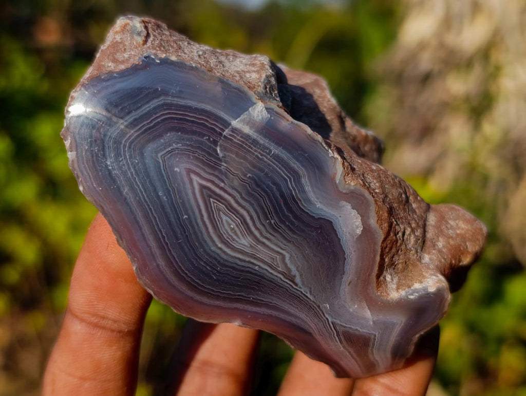 Polished One Side Red Shashe River Agate Nodules x 12 From Shashe River, Zimbabwe - Toprock Gemstones and Minerals 