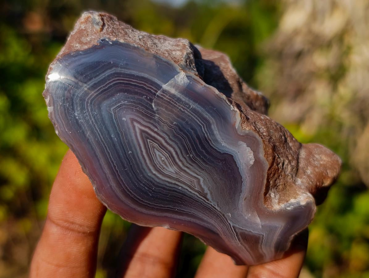 Polished One Side Red Shashe River Agate Nodules x 12 From Shashe River, Zimbabwe - Toprock Gemstones and Minerals 
