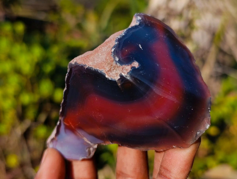 Polished One Side Red Shashe River Agate Nodules x 12 From Shashe River, Zimbabwe - Toprock Gemstones and Minerals 