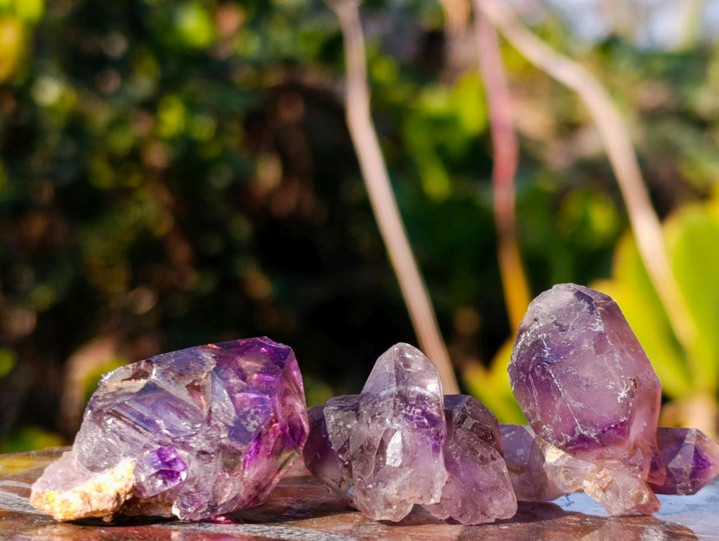 Natural Window Amethyst Crystal x 70 From Chiredzi, Zimbabwe - Toprock Gemstones and Minerals 