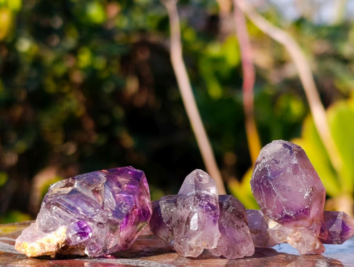 Natural Window Amethyst Crystal x 70 From Chiredzi, Zimbabwe - Toprock Gemstones and Minerals 