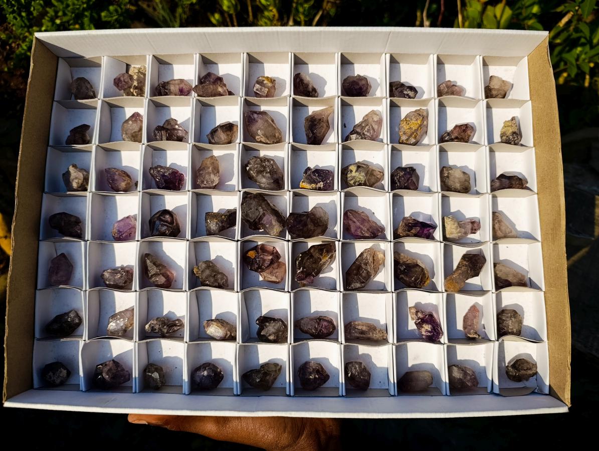 Natural Window Amethyst Crystal x 70 From Chiredzi, Zimbabwe - Toprock Gemstones and Minerals 