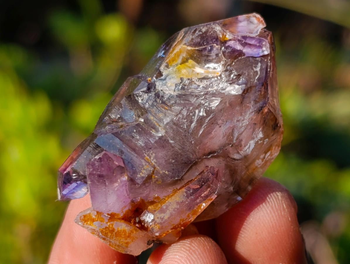 Natural Window Amethyst Crystal x 70 From Chiredzi, Zimbabwe - Toprock Gemstones and Minerals 